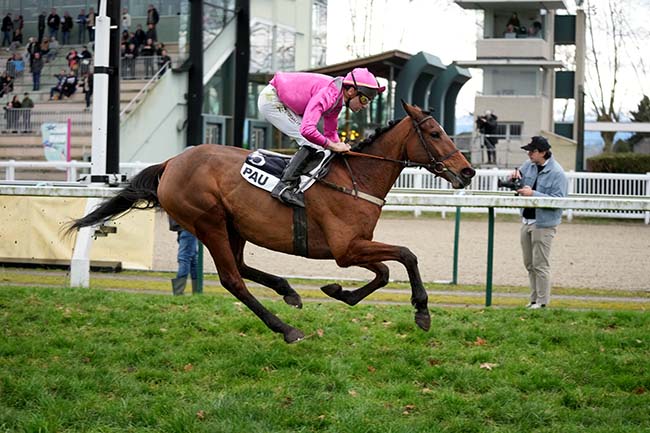 Photo d'arrivée de la course pmu PRIX JOSEPH BIRABEN à PAU le Mercredi 8 janvier 2025