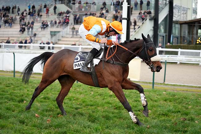 Photo d'arrivée de la course pmu PRIX JEAN DE TAURIAC à PAU le Mercredi 8 janvier 2025