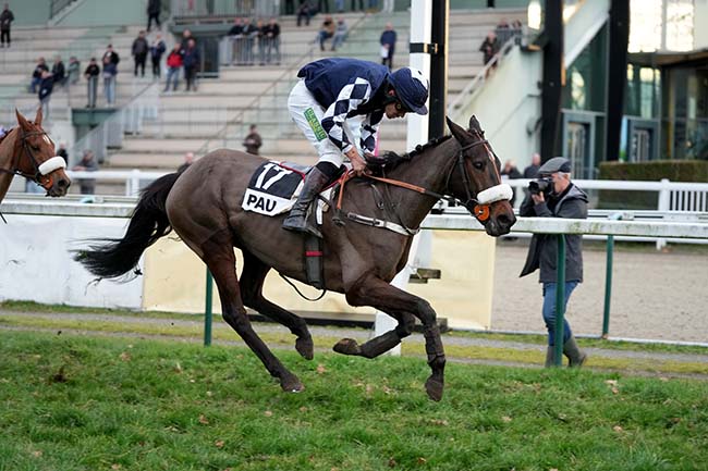Photo d'arrivée de la course pmu PRIX EMILE LALANNE à PAU le Mercredi 8 janvier 2025