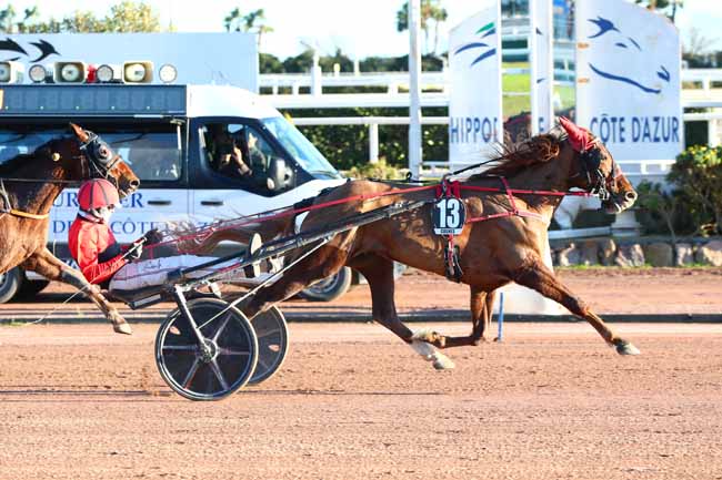 Photo d'arrivée de la course pmu PRIX METEOR II à CAGNES-SUR-MER le Jeudi 9 janvier 2025