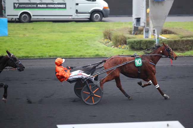 Photo d'arrivée de la course pmu PRIX DE QUESTEMBERT à PARIS-VINCENNES le Samedi 11 janvier 2025