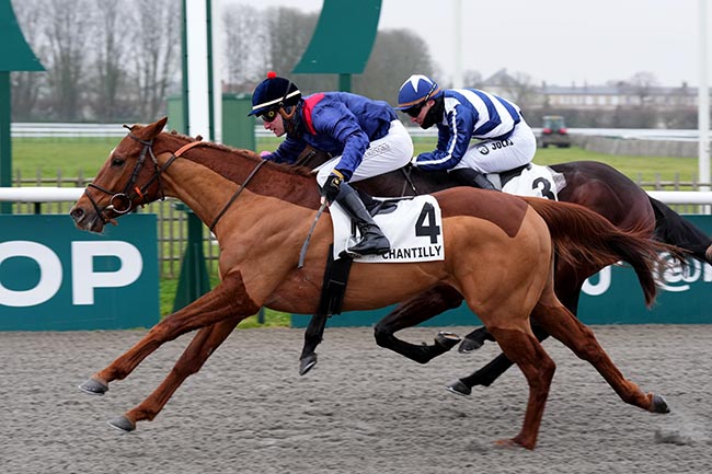 Photo d'arrivée de la course pmu PRIX DU MARAIS DU LYS à CHANTILLY le Samedi 11 janvier 2025