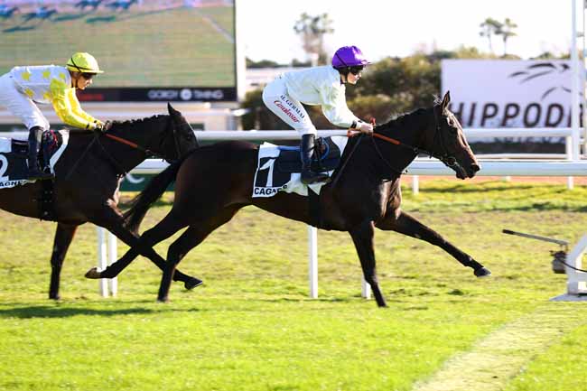 Photo d'arrivée de la course pmu PRIX DE CAUCADE à CAGNES-SUR-MER le Lundi 13 janvier 2025