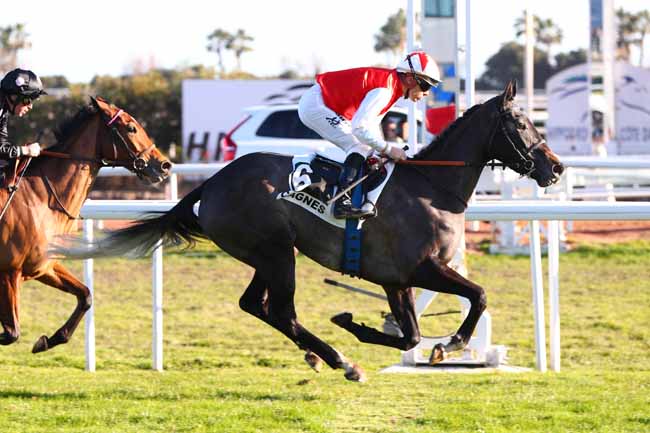 Photo d'arrivée de la course pmu PRIX DE LA CORNICHE FLEURIE à CAGNES-SUR-MER le Mercredi 15 janvier 2025