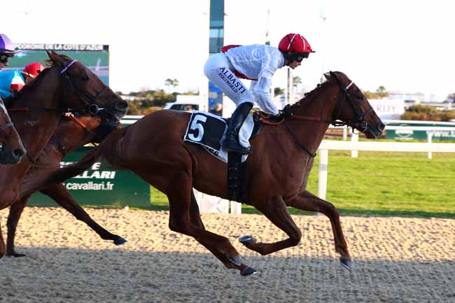 Photo d'arrivée de la course pmu PRIX D'ANNONCIADE à CAGNES-SUR-MER le Mercredi 15 janvier 2025