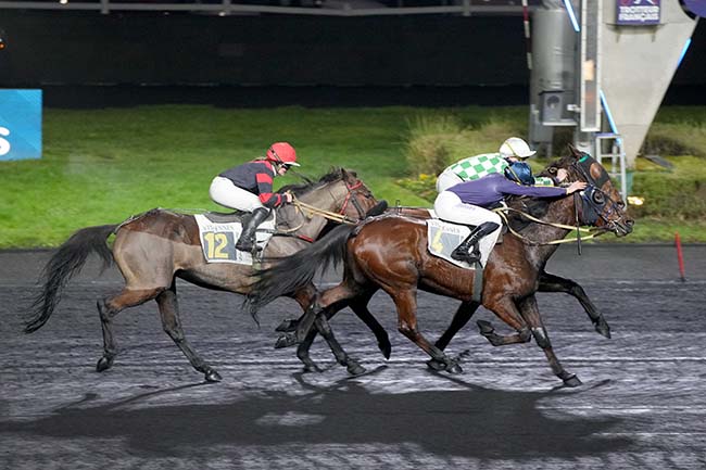 Photo d'arrivée de la course pmu PRIX DE PORNICHET à PARIS-VINCENNES le Mercredi 15 janvier 2025