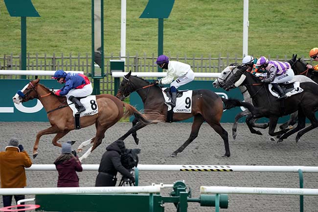 Photo d'arrivée de la course pmu PRIX DU CARREFOUR DES CHARMES à CHANTILLY le Jeudi 16 janvier 2025