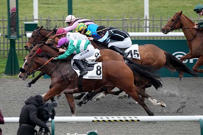 Photo d'arrivée de la course pmu PRIX DU MENHIR DES INDROLLES à CHANTILLY le Jeudi 16 janvier 2025