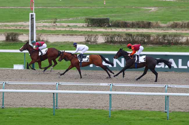 Photo d'arrivée de la course pmu PRIX DE BENERVILLE à DEAUVILLE le Vendredi 17 janvier 2025