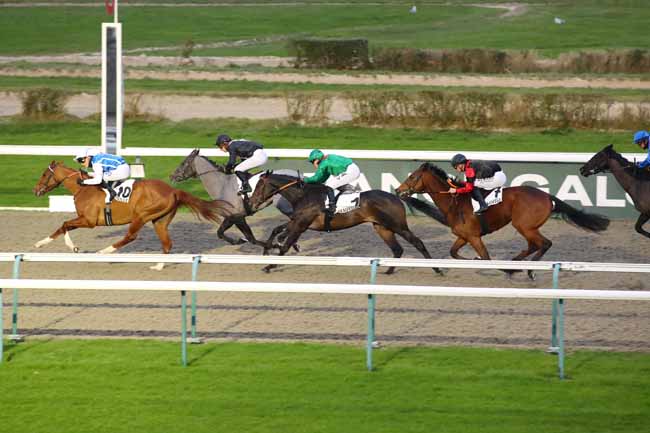 Photo d'arrivée de la course pmu PRIX DE LA BARELIERE à DEAUVILLE le Vendredi 17 janvier 2025