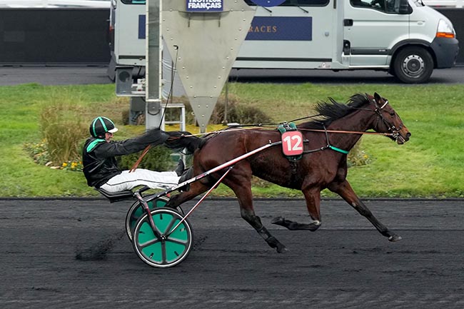 Photo d'arrivée de la course pmu PRIX D'ESPALION à PARIS-VINCENNES le Dimanche 19 janvier 2025