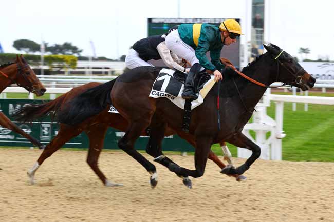 Photo d'arrivée de la course pmu PRIX DE LA BOCCA à CAGNES-SUR-MER le Lundi 20 janvier 2025