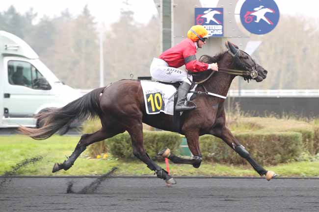 Photo d'arrivée de la course pmu PRIX D'AUFFAY à PARIS-VINCENNES le Lundi 20 janvier 2025