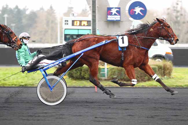 Photo d'arrivée de la course pmu PRIX D'ORLEANS à PARIS-VINCENNES le Lundi 20 janvier 2025