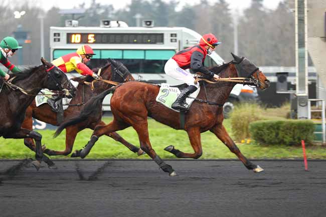 Photo d'arrivée de la course pmu PRIX DE CARCASSONNE à PARIS-VINCENNES le Lundi 20 janvier 2025