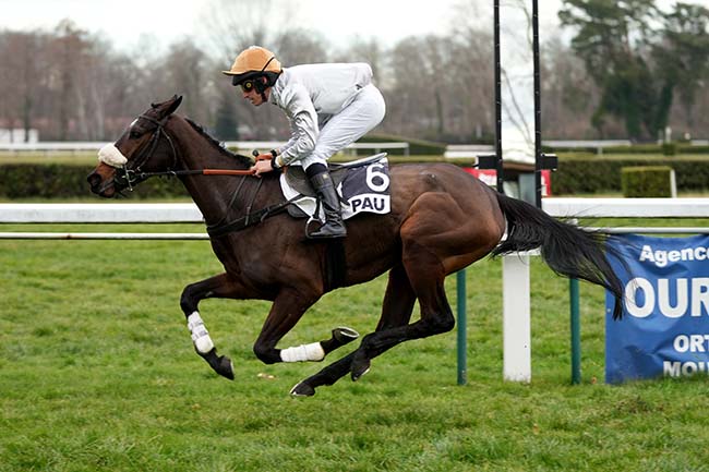 Photo d'arrivée de la course pmu PRIX JEAN BERNADOTTE à PAU le Mardi 21 janvier 2025