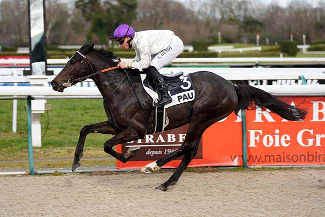 Photo d'arrivée de la course pmu PRIX HOTEL MERCURE PAU PALAIS DES SPORTS (PRIX DES EAUX-BONNES) à PAU le Mardi 21 janvier 2025