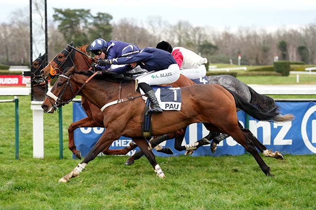 Photo d'arrivée de la course pmu PRIX DE GRAMONT à PAU le Mardi 21 janvier 2025