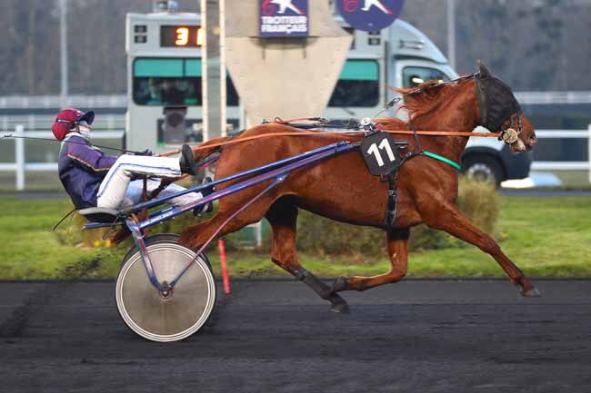 Photo d'arrivée de la course pmu PRIX DE FALAISE à PARIS-VINCENNES le Mardi 21 janvier 2025