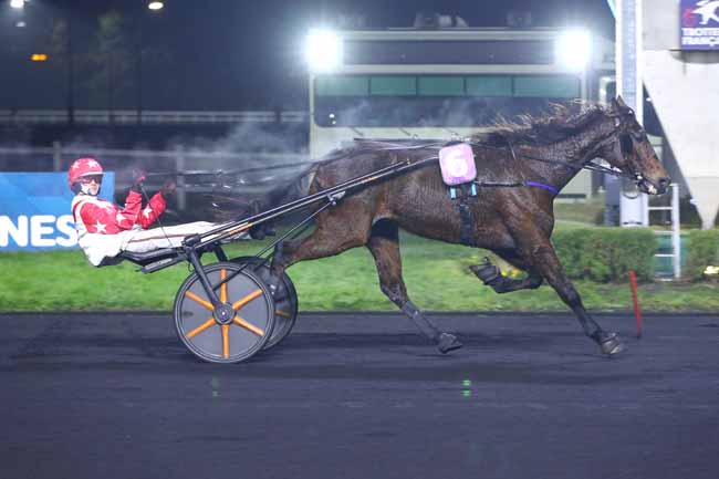 Photo d'arrivée de la course pmu PRIX DE SAINTE-GAUBURGE à PARIS-VINCENNES le Mardi 21 janvier 2025