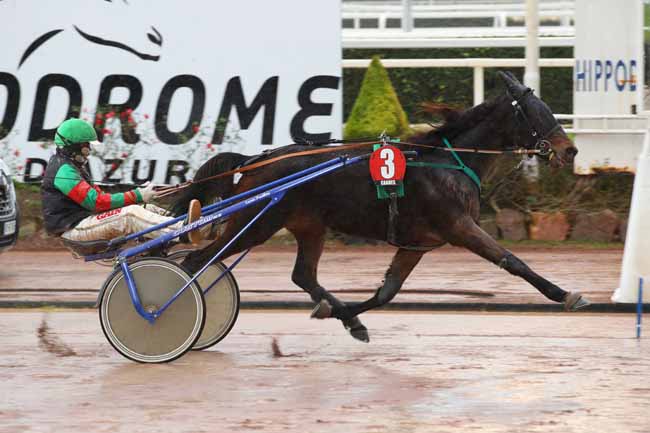 Photo d'arrivée de la course pmu PRIX GELINOTTE à CAGNES-SUR-MER le Mercredi 22 janvier 2025