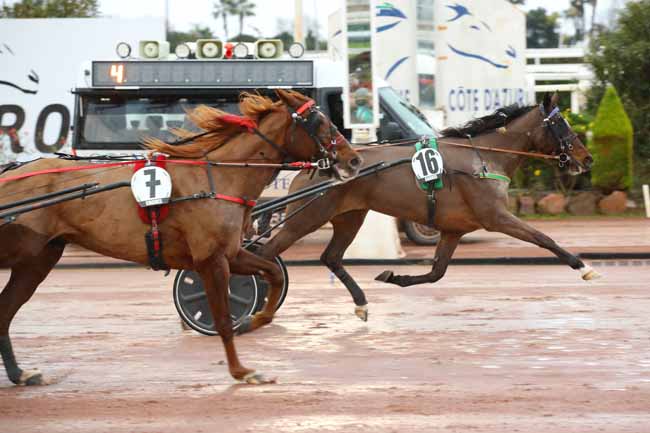 Photo d'arrivée de la course pmu PRIX RASTEL BIHAN à CAGNES-SUR-MER le Mercredi 22 janvier 2025