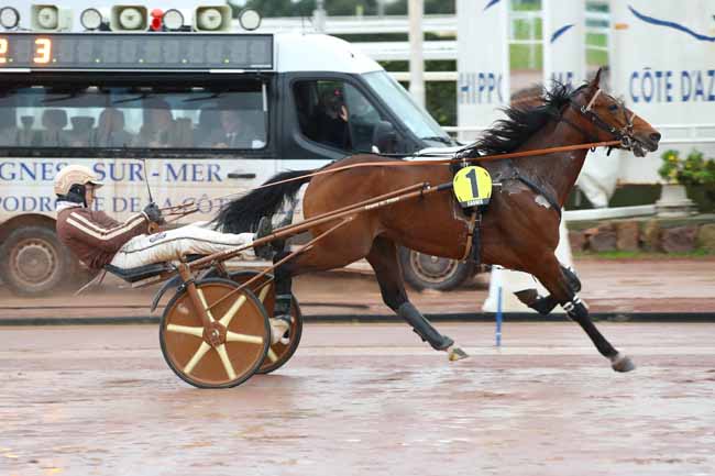 Photo d'arrivée de la course pmu PRIX DES ANCOLIES à CAGNES-SUR-MER le Mercredi 22 janvier 2025