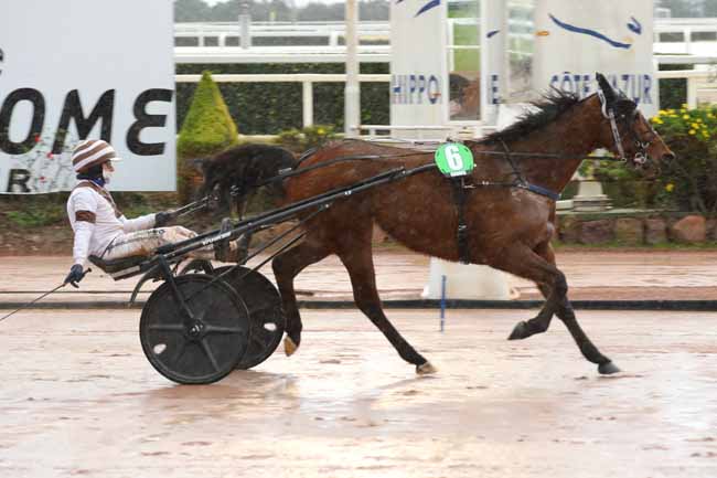 Photo d'arrivée de la course pmu PRIX HOUSTON LAUKKO à CAGNES-SUR-MER le Mercredi 22 janvier 2025