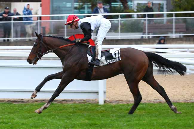 Arrivée quinté pmu PRIX DE MARSEILLE à CAGNES-SUR-MER