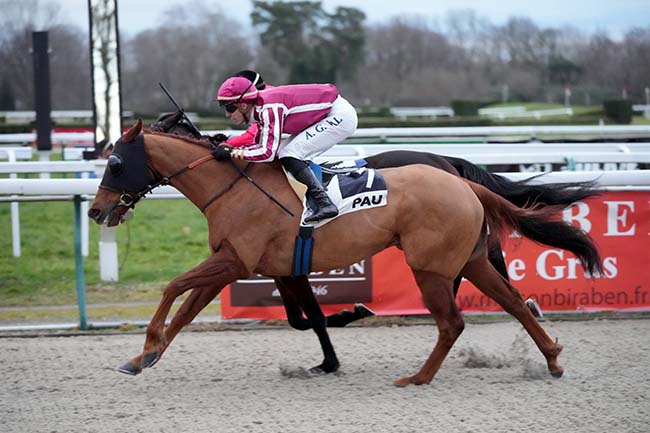 Photo d'arrivée de la course pmu PRIX DE LESCAR à PAU le Mercredi 29 janvier 2025