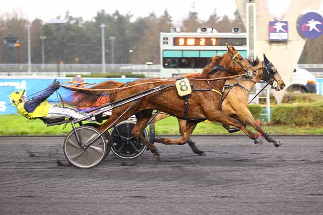 Photo d'arrivée de la course pmu PRIX D'ECOUCHE à PARIS-VINCENNES le Vendredi 31 janvier 2025