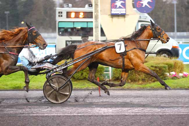 Photo d'arrivée de la course pmu PRIX D'AVIGNON à PARIS-VINCENNES le Vendredi 31 janvier 2025