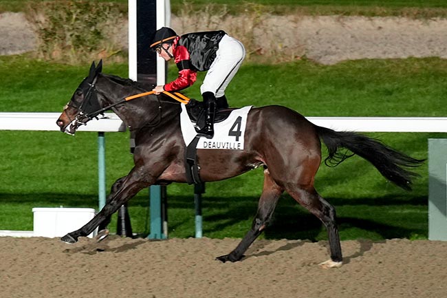 Photo d'arrivée de la course pmu PRIX DE BALME à DEAUVILLE le Vendredi 31 janvier 2025