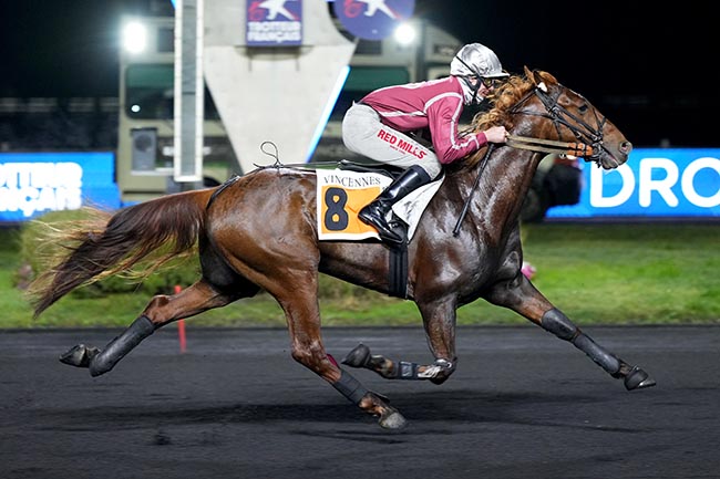 Photo d'arrivée de la course pmu PRIX D'AUCH à PARIS-VINCENNES le Samedi 1 février 2025