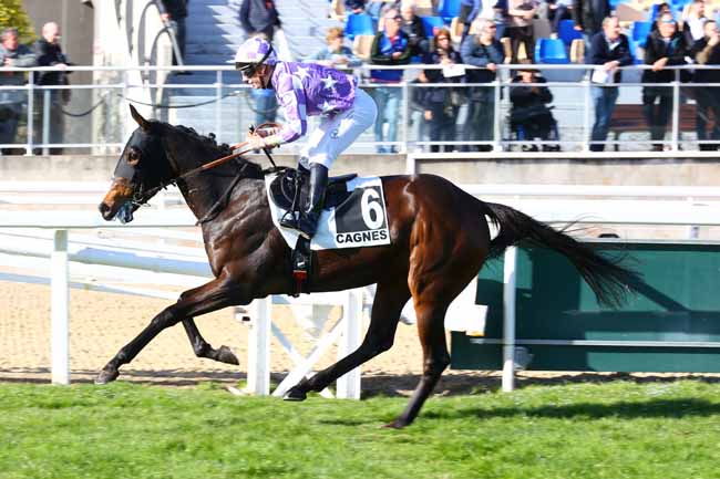 Arrivée quinté pmu PRIX DE GRASSE à CAGNES-SUR-MER