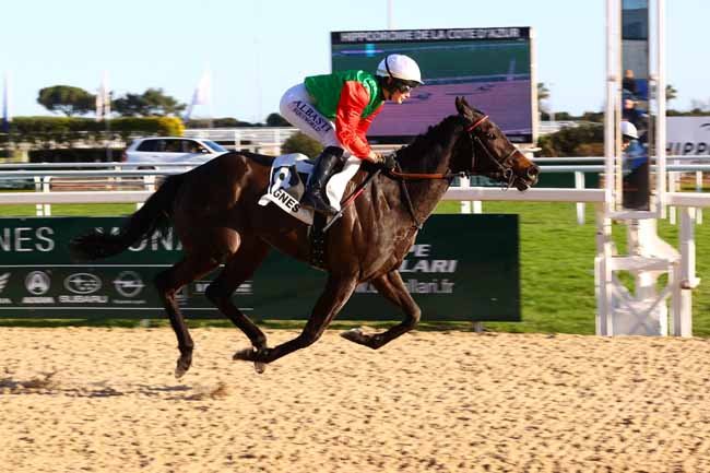 Photo d'arrivée de la course pmu PRIX DES GENEVRIERS à CAGNES-SUR-MER le Lundi 3 février 2025