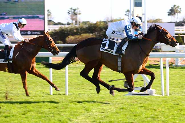 Arrivée quinté pmu PRIX DU VAR à CAGNES-SUR-MER