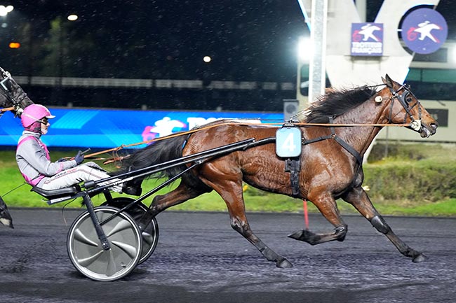 Arrivée quinté pmu PRIX GUY LUX ET LEON ZITRONE à PARIS-VINCENNES