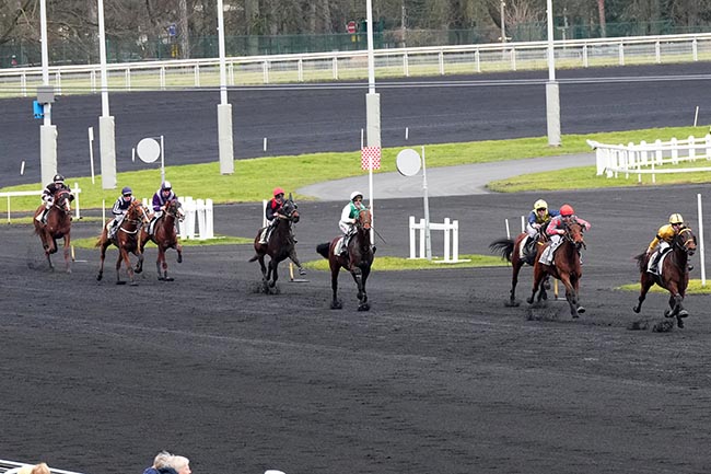 Photo d'arrivée de la course pmu PRIX DE RAMBOUILLET à PARIS-VINCENNES le Samedi 8 février 2025