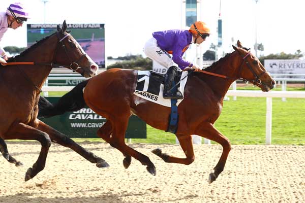 Photo d'arrivée de la course pmu PRIX DE LA MARJOLAINE à CAGNES-SUR-MER le Lundi 10 février 2025