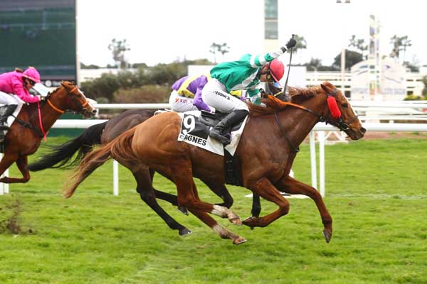 Photo d'arrivée de la course pmu PRIX DE SAN REMO à CAGNES-SUR-MER le Lundi 10 février 2025
