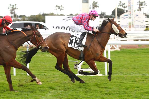 Photo d'arrivée de la course pmu PRIX D'AVIGNON à CAGNES-SUR-MER le Lundi 10 février 2025
