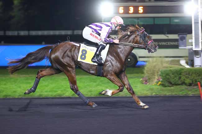 Photo d'arrivée de la course pmu PRIX PAUL BASTARD à PARIS-VINCENNES le Vendredi 14 février 2025