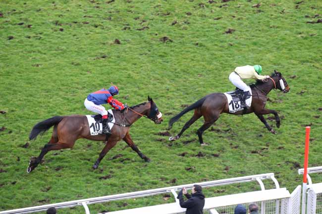 Photo d'arrivée de la course pmu PRIX DOUBLON à AUTEUIL le Samedi 15 février 2025