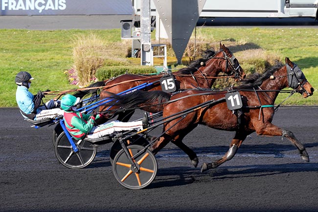 Photo d'arrivée de la course pmu PRIX DE PLEAUX à PARIS-VINCENNES le Dimanche 16 février 2025