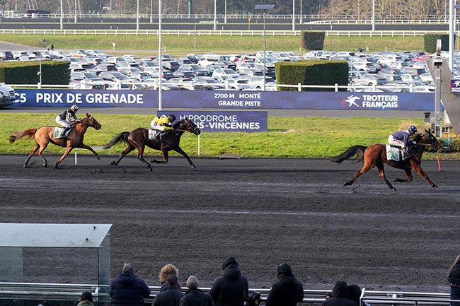 Photo d'arrivée de la course pmu PRIX DE GRENADE à PARIS-VINCENNES le Dimanche 16 février 2025