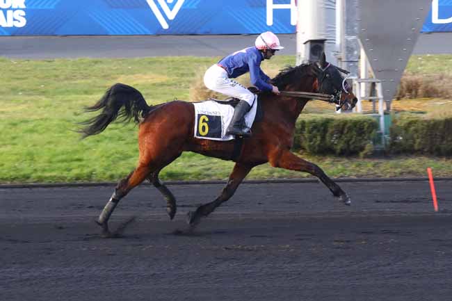 Photo d'arrivée de la course pmu PRIX D'AVENCHES à PARIS-VINCENNES le Mardi 18 février 2025