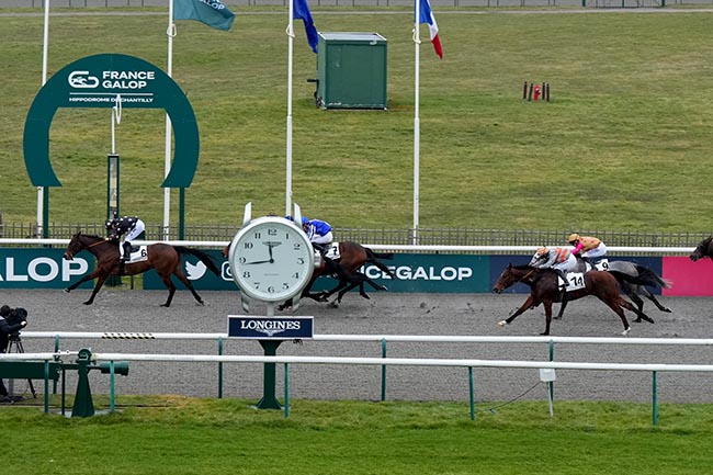 Photo d'arrivée de la course pmu PRIX DE L'ALLEE DE LA PORTE VAILLANT à CHANTILLY le Jeudi 20 février 2025