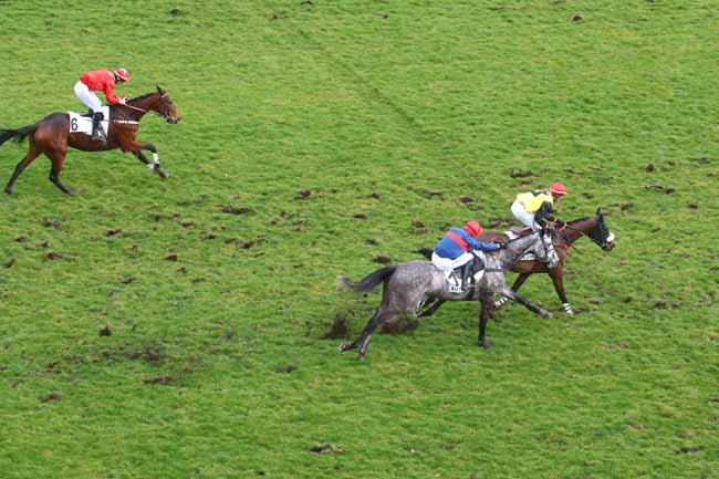 Photo d'arrivée de la course pmu PRIX ROHAN à AUTEUIL le Lundi 24 février 2025