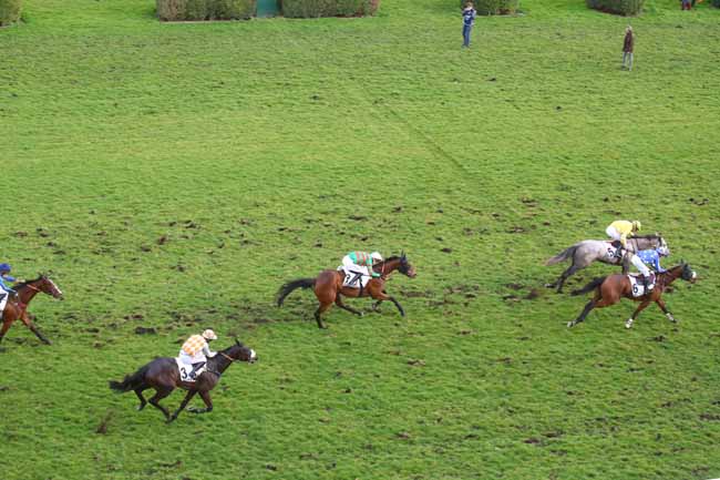 Photo d'arrivée de la course pmu PRIX JUIGNE à AUTEUIL le Lundi 24 février 2025